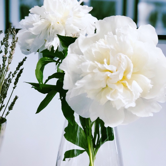 Meet your Posher! - Picture 1 of 1